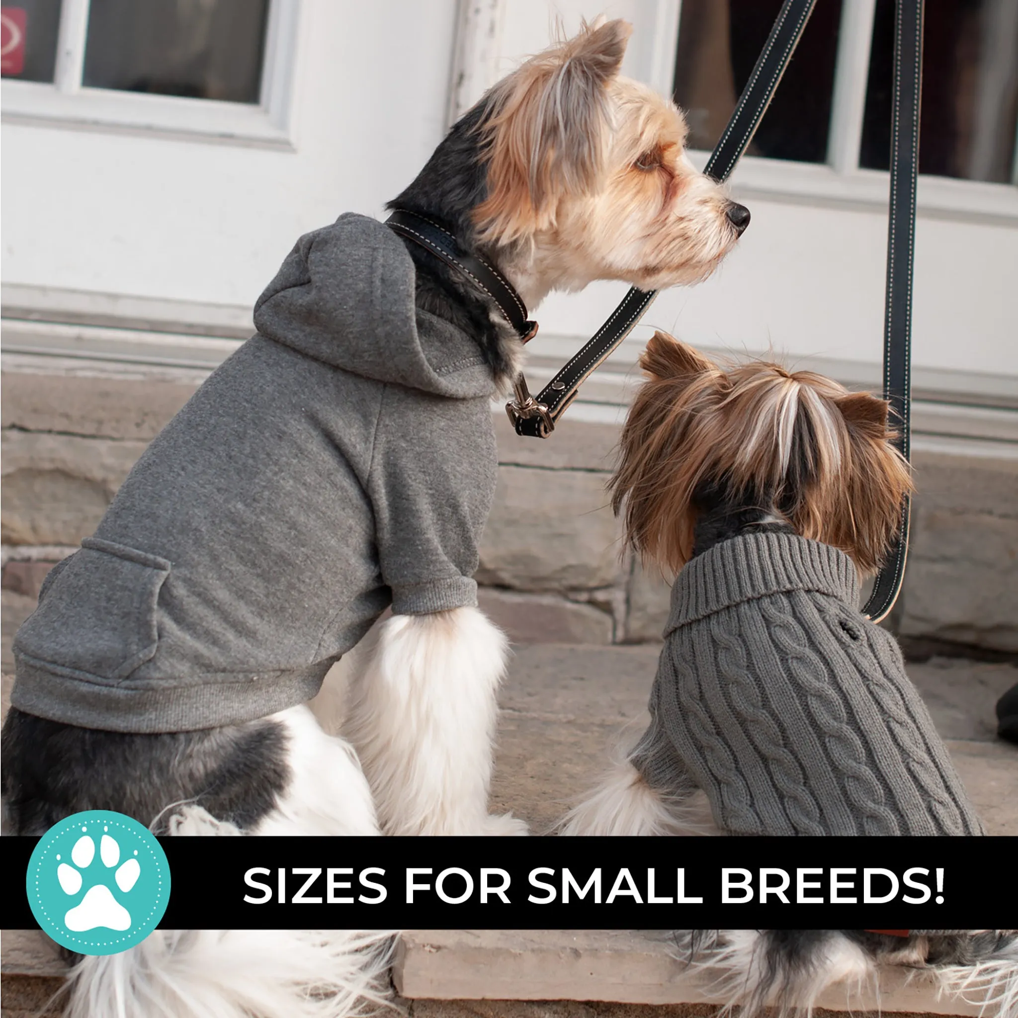 Brentwood Dog Hoodie