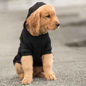 Brentwood Dog Hoodie