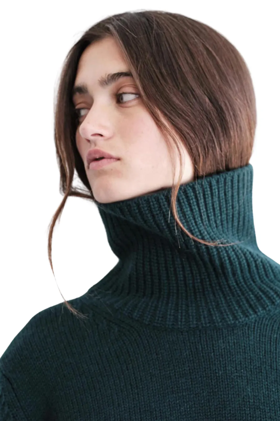 Wool/Cashmere Blend Turtleneck Sweater, Rainforest